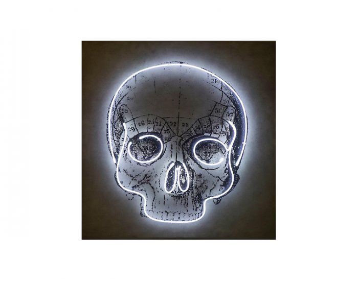 Tranh Neon Skull