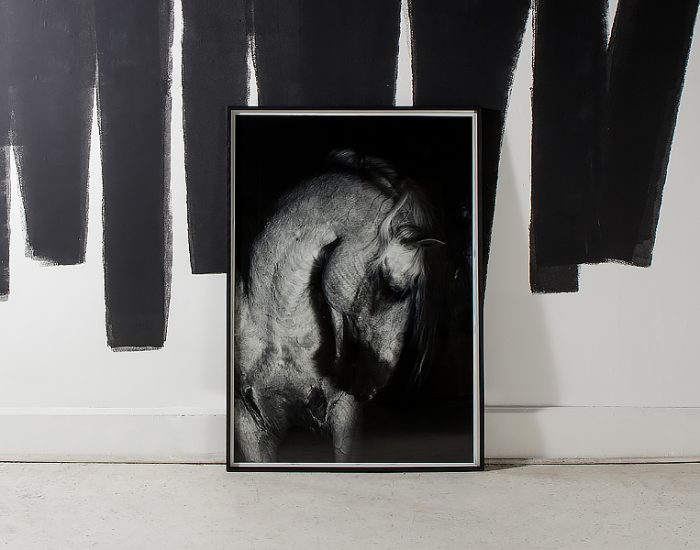 Tranh Grey Horse - Large